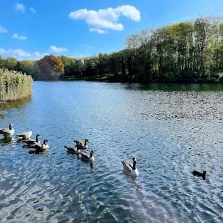 Superbe Proche De Disney Et De Paris Lognes